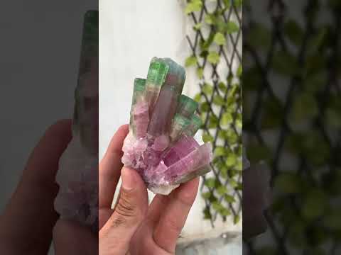 Bi Color Tourmaline on Albite Matrix