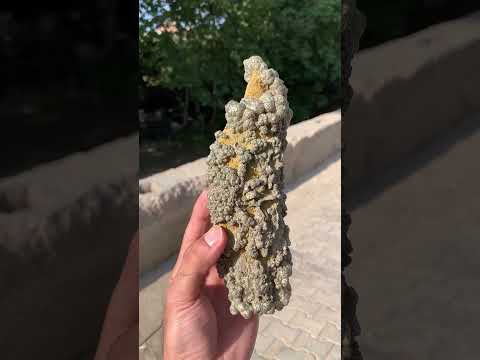 Golden Pyrite Stalagtite Mineral