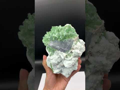 Tourmaline cluster on Kunzite & Albite
