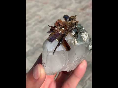 Brookite Crystals On Chlorite Quartz