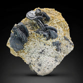 Hematite Rosettes Crystals on Matrix