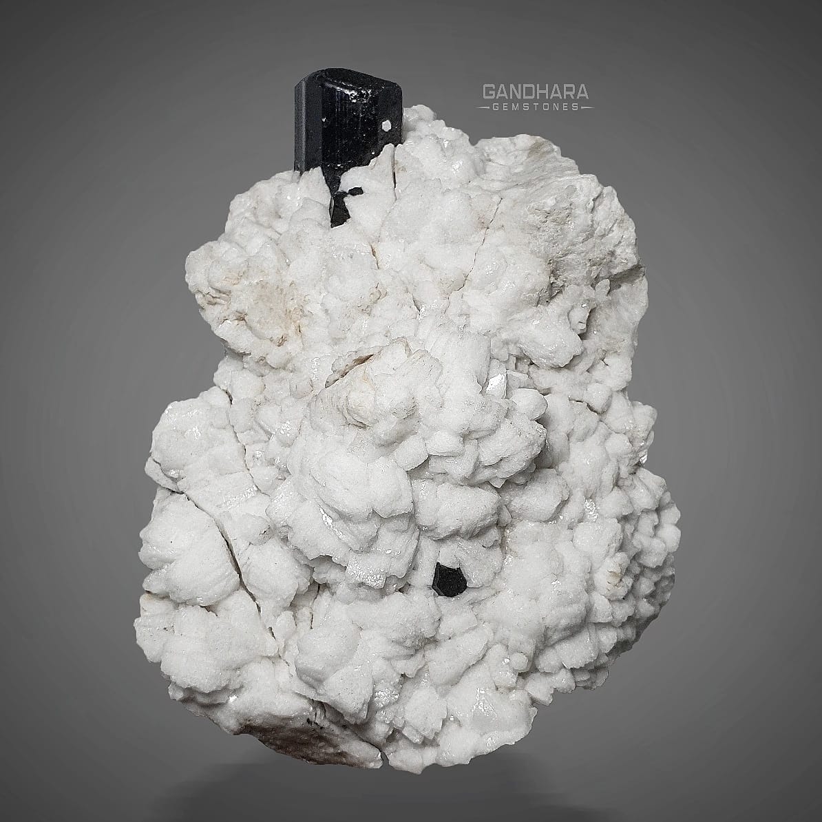 Adorable Black Tourmaline on Cleavelandite Matrix