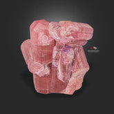 Adorable Aggregate Of Vibrant Pink Tourmaline With Blue Caps