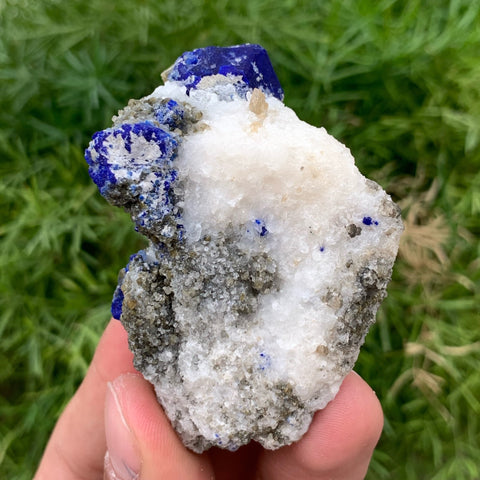 Azure Blue Isolated Lazurite Crystals On Calcite Matrix