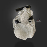 Bicolor Tourmaline Crystals Nicely Perched On Muscovite Mica