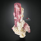 Bubble Gum Pink Tourmaline With Creamy White Cleavelandite