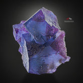 Colorful And Adorable Aggregate Of Fluorite Cubes