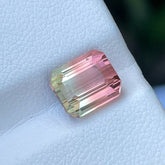 Exceptional Watermelon Bicolor Tourmaline Gem