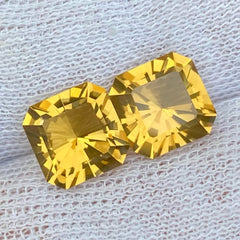 Faceted Deep Golden Citrine Pair Gemstone
