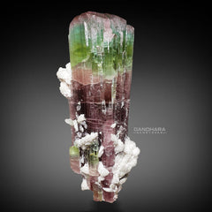 Gorgeous Bicolor Tourmaline Elbaite with Albite