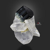 Green Cap Schorl Crystal On Double Terminated Quartz