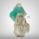 Interesting Seafoam Blue Color Fluorite Perched on Albite