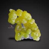 Lemon-Yellow Botryoidal Aggregate of Brucite with Detail Chromite Matrix