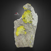 Lemon-Yellow Brucite Crystals On Silvery White Chromite Matrix