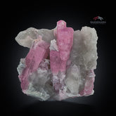 Lighter Pink Elongated Tourmaline Crystals Nicely Arranged on Smokey Quartz