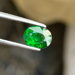 Tsavorite Garnet