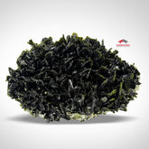 Lovely Aggregate Of Dendritic Epidote Crystals, Forest Green Color On Matrix