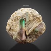 Lovely Double Terminated Bicolor Tourmaline on Smokey Quartz