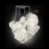 Lusterious Schorl aka Black Tourmaline on Cleavelandite with Quartz