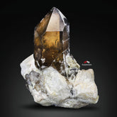 Lusterious Vibrant Color Smoky Quartz Crystal On Contrasting White Albite Matrix