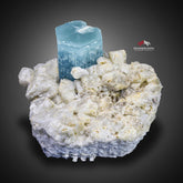 Milky Blue Color Aquamarine On Creamy White Albite