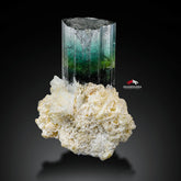 Multi Colored Tourmaline Crystal On Creamy White Albite