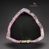 Pretty Bicolor Tourmaline Slice with Nice Detailed Albite attached