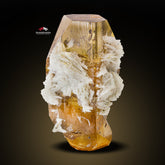 Saturated Color Gem Topaz With White Cleavelandite