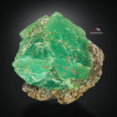 Saturated Forest Green Color Fluorite On Muscovite