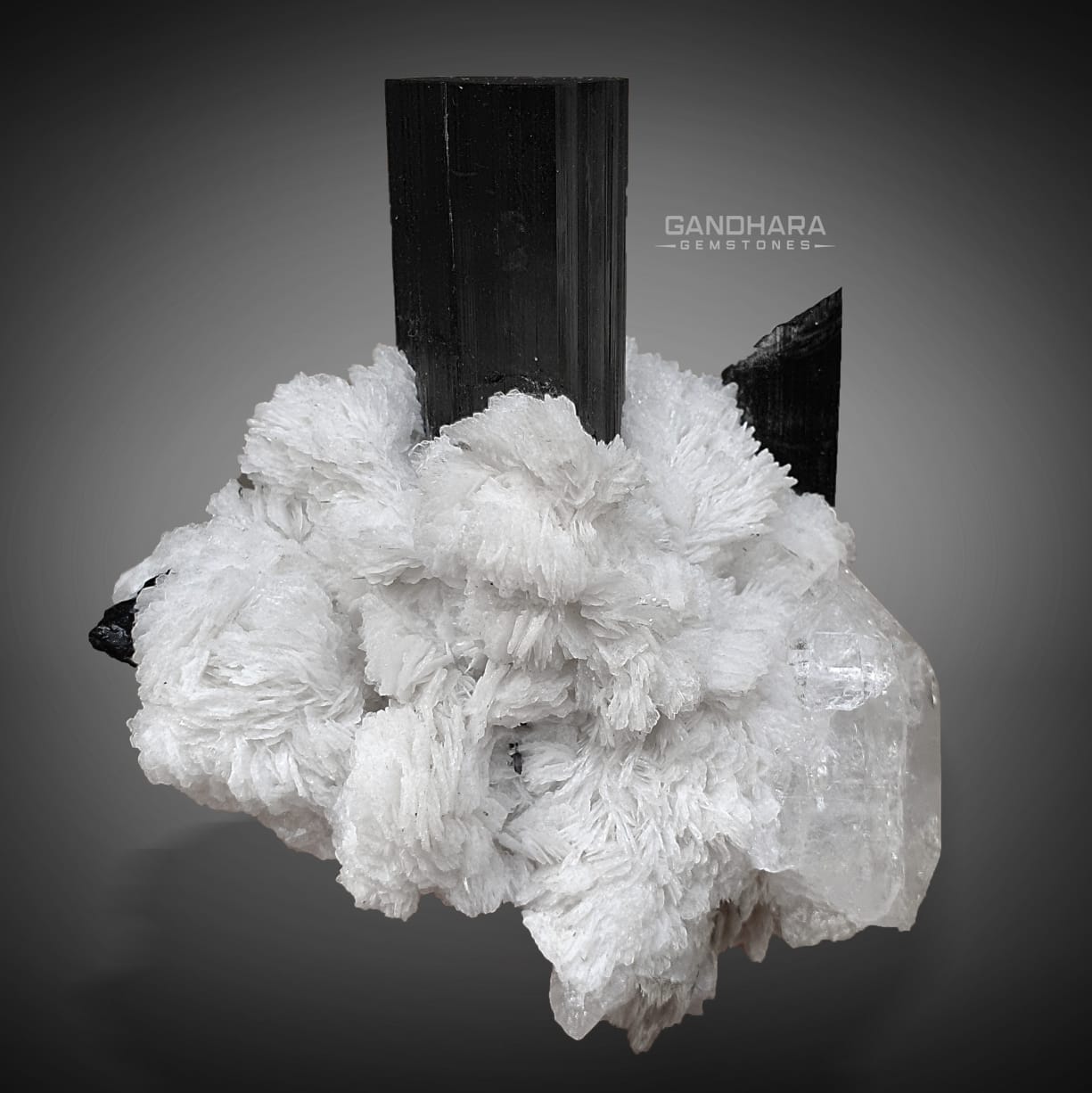 Schorl Crystals Specimen on Cleavelandite Matrix