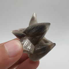 Start Burst Cluster Of Calcite With Marcasite Inclusion