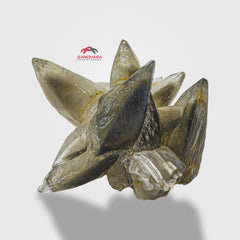 Start Burst Cluster Of Calcite With Marcasite Inclusion