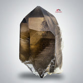 Striking Rich Color Smoky Quartz Crystal With Nice Detailed White Albite