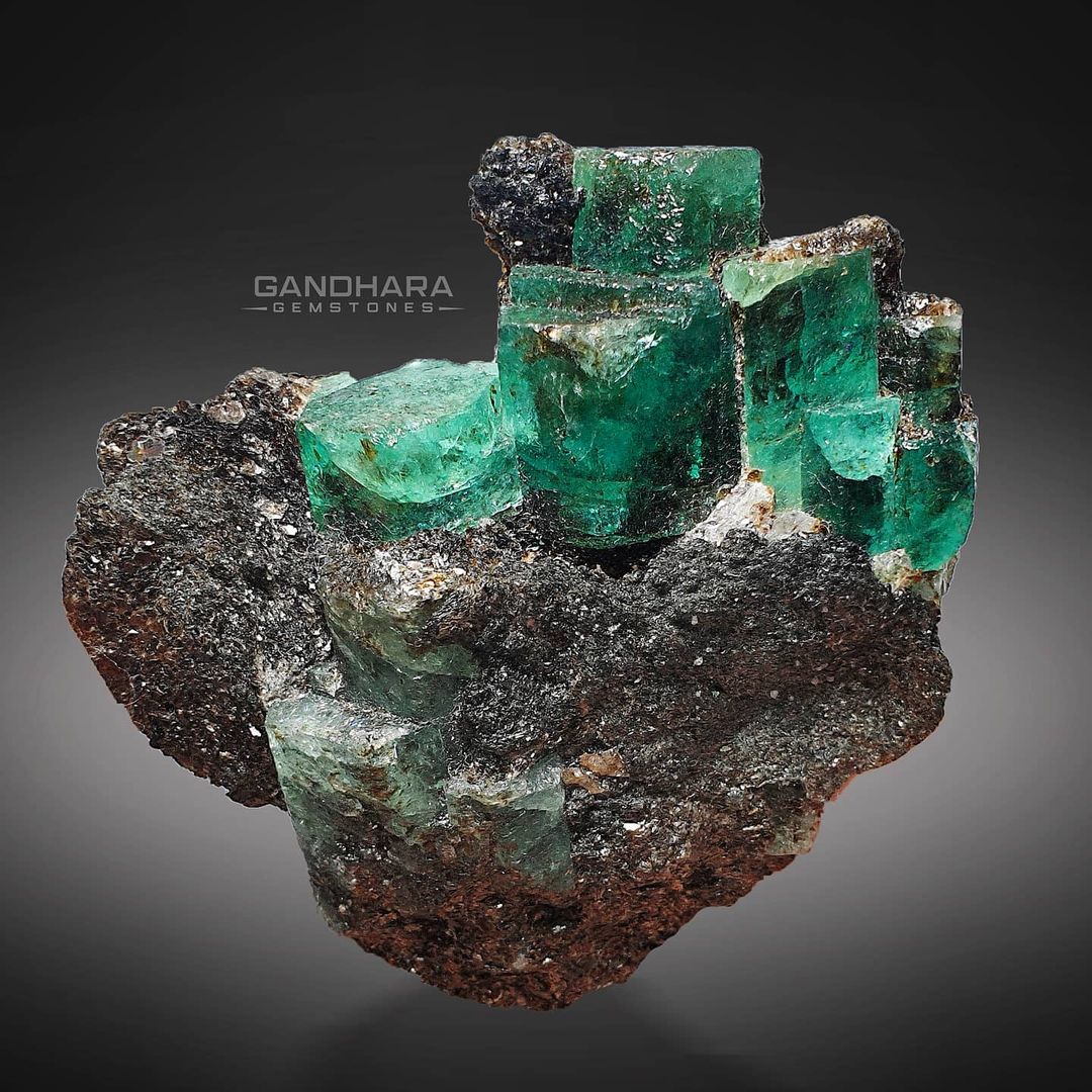 Vibrant Green Emerald Cluster on Muscovite
