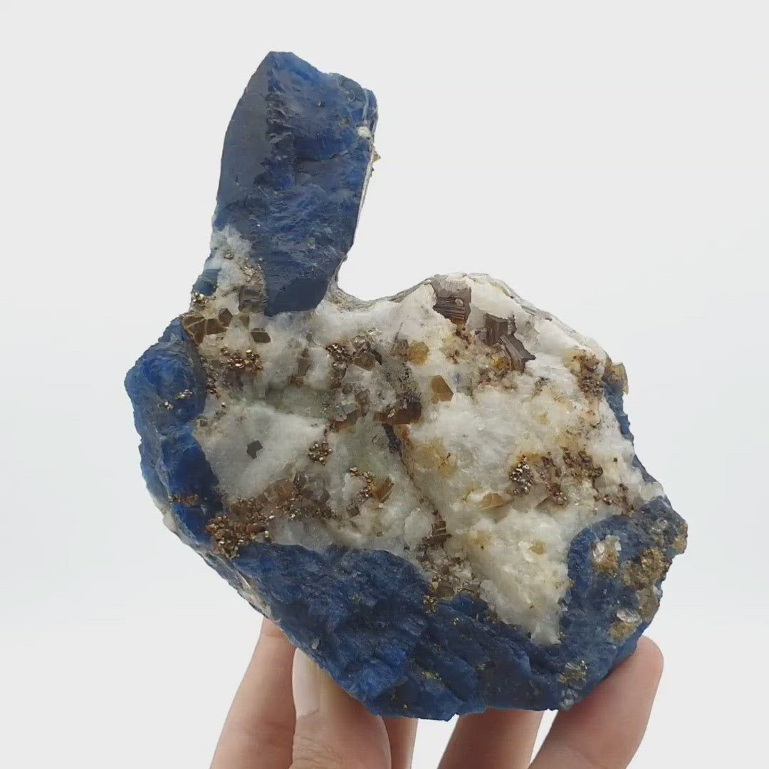 Impressive Size Sapphire Blue Lazurite on Matrix with Calcite and Pyrite
