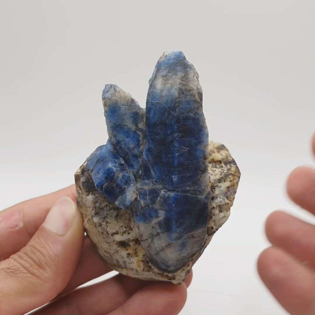 Elongated Afghanite Crystals Shooting Out of Matrix
