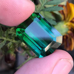 18.10 ct Natural Loose Bicolor Faceted Tourmaline
