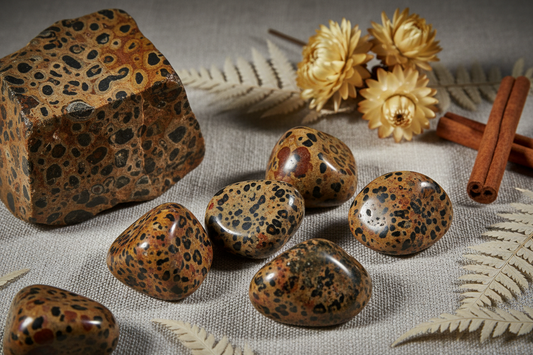 Facts About Leopard Skin Jasper: Meanings, Properties, and Benefits