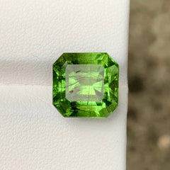 11.07ct Ludwigite Include Peridot Emerald Cut