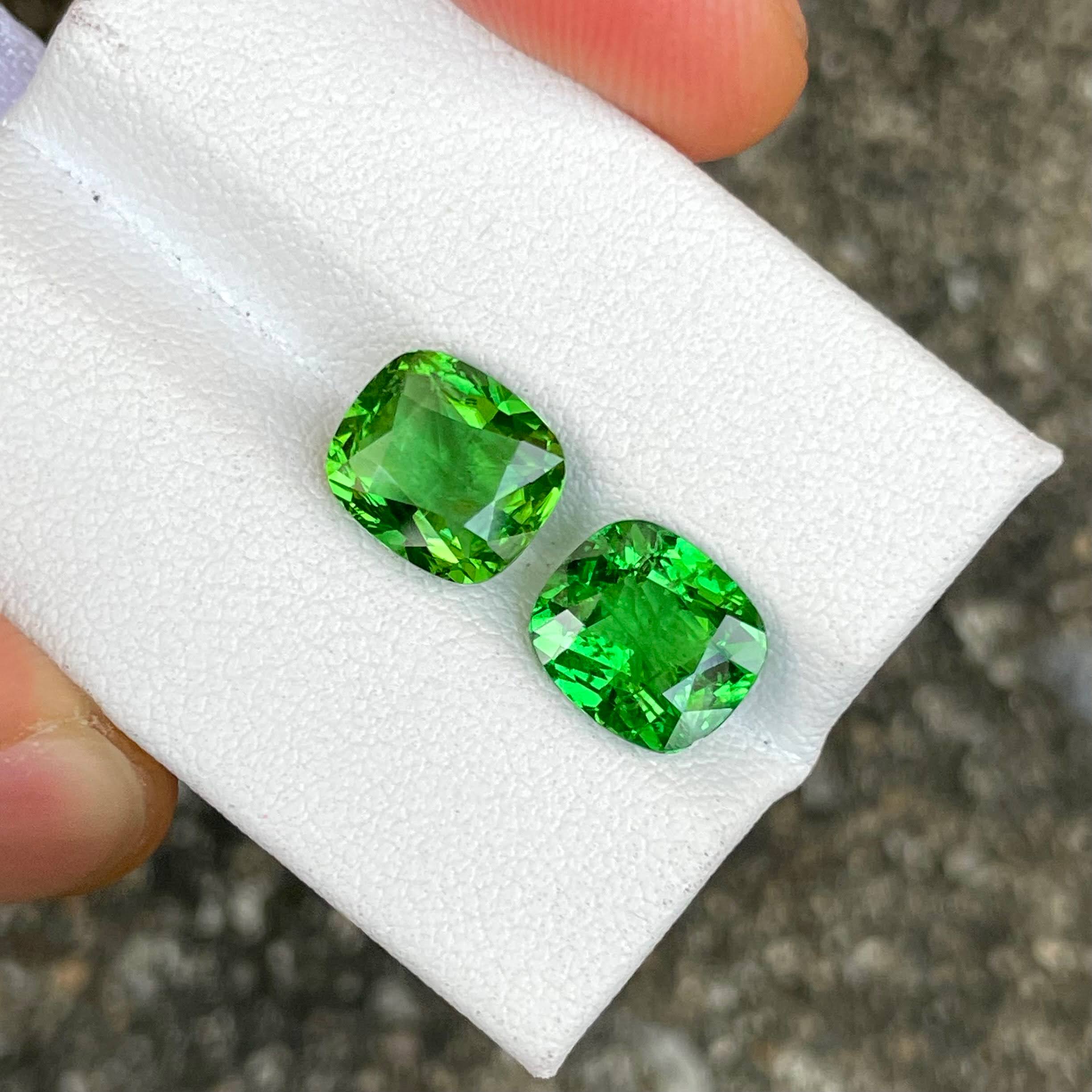 5.42 Carats Tsavorite Garnet Pair Gems