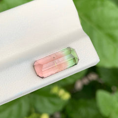5.90 Carat Bi-Color Tourmaline