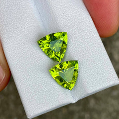 6.87 Carats Green Peridot Pair Gems