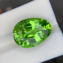  19.26ct Ludwigite Inclusion Peridot