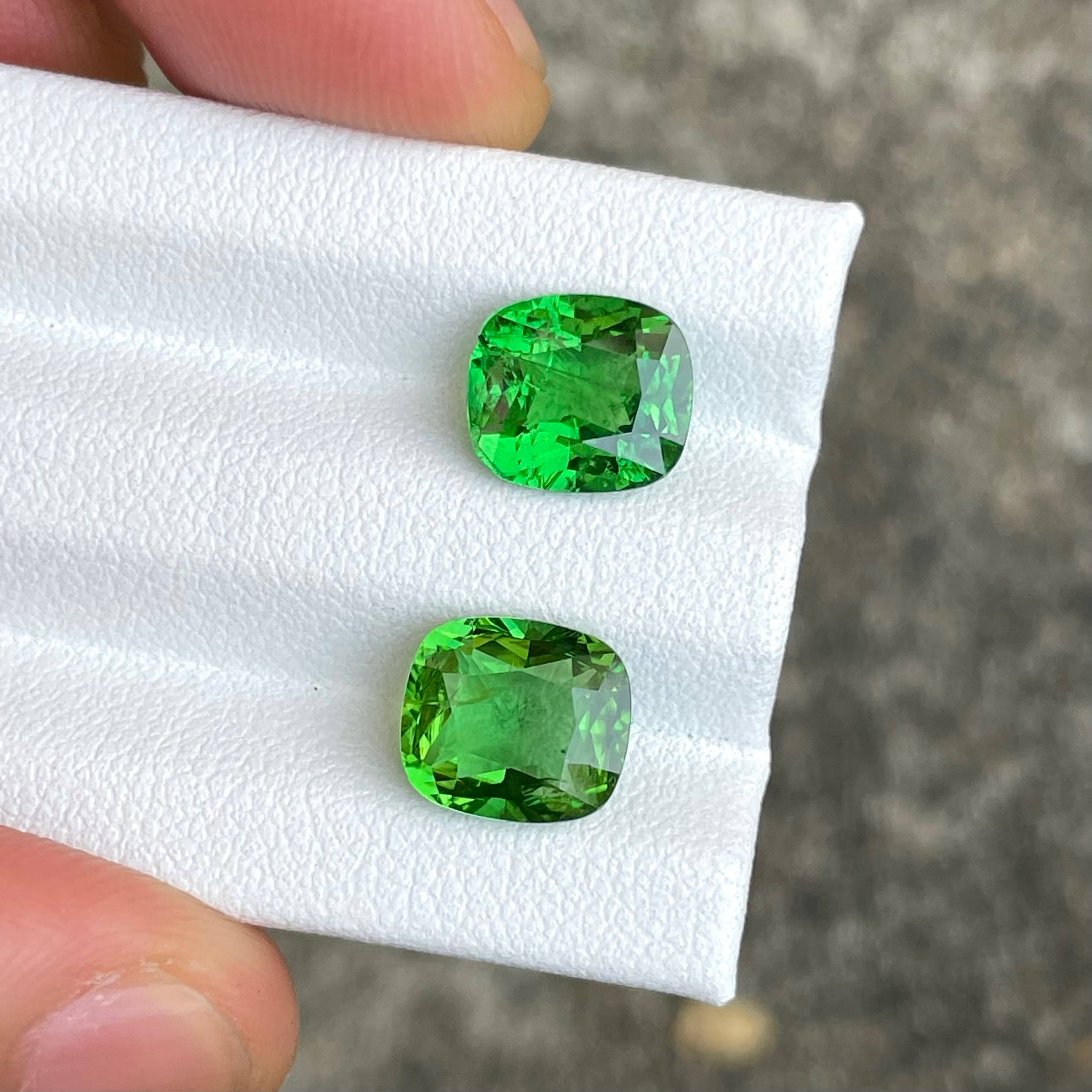 5.42 Carats Tsavorite Garnet Pair Gems