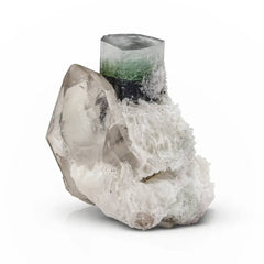 Bi color Tourmaline on Smoky Quartz
