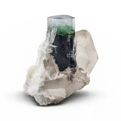 Bi color Tourmaline on Smoky Quartz