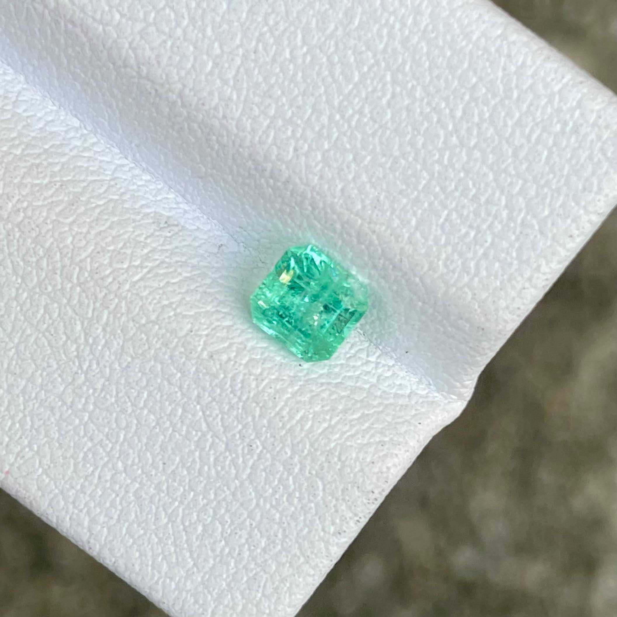 0.59 Carats Emerald Faceted Gemstone