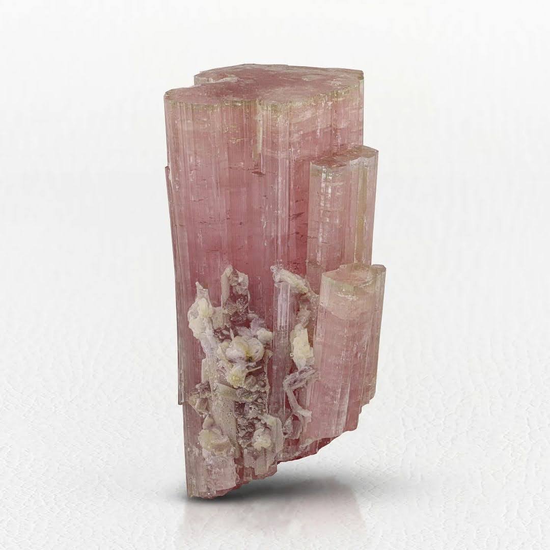 Pink Tourmaline Crystals on Lepidolite