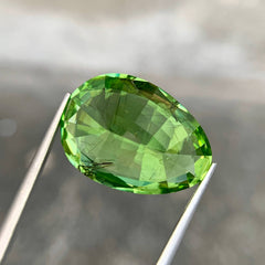  19.26ct Ludwigite Inclusion Peridot