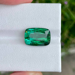 10.95 Carats Green Blue Tourmaline Gem